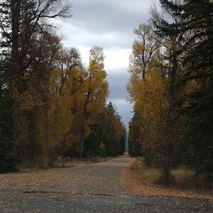 Meet your Posher, Beatriz